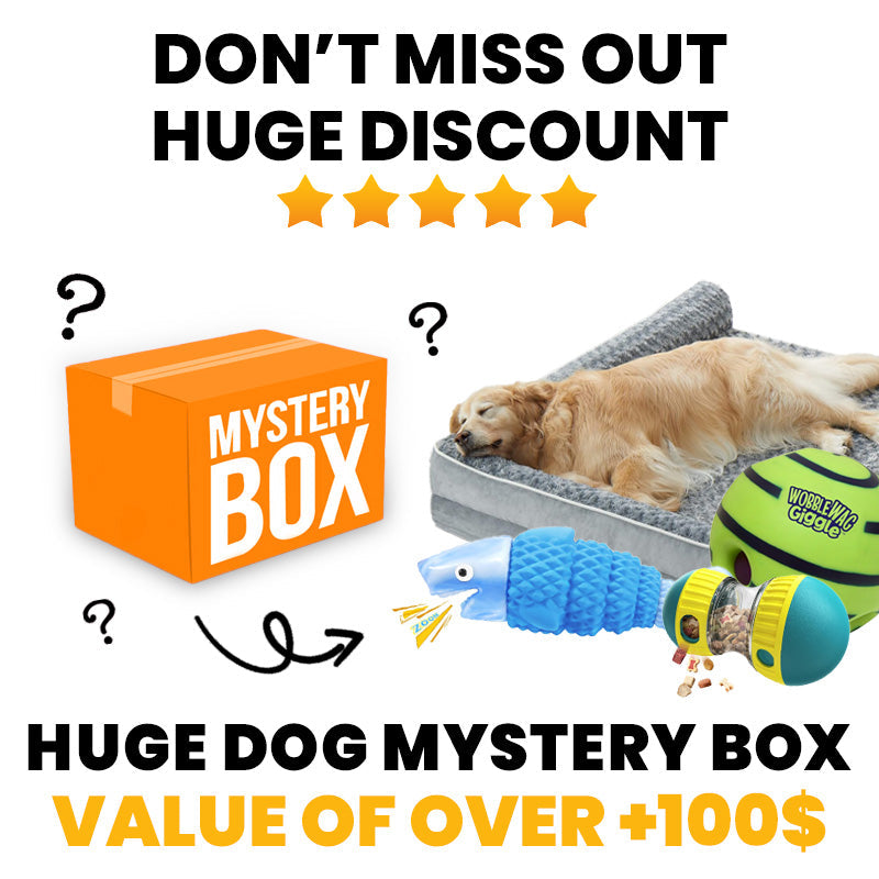 Huge Dog Mystery Box [+100$ Value]